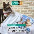 티커뮤니케이션 | 커스텀티셔츠 주문제작티셔츠 후기, 오버핏 반려동물티셔츠 커스텀피스