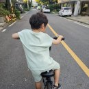 어린이자전거 삼천리 루트 20인치 네발자전거 늦은 입문