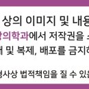 성모빛정신건강의학과의원 네이버블로그