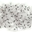 들꽃이야기-벼룩이자리 이미지
