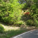 금곡리 용담사 입구 이미지