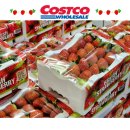 제이비코리아 | 코스트코 1월 첫째주 할인 상품