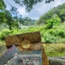 음악펜션"뮤펜"민박 | [음악펜션 뮤펜] 횡성 감성 숙소 후기