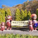 제암산 곰재화장실 | Ep.01 제암산~사자산 탐험기(by등반나)