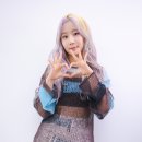 시그니처헤어 스타뉴스