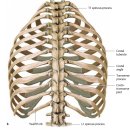 촉진을 안내(guiding structure)하는 구조물 사례 이미지