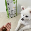 고려동충하초 | 강아지가 물만 마셔도 켁켁? 기관지 걱정된다면 마이펫닥터 기관지 처방식 사료 솔직 후기