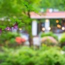 카페소담 이미지