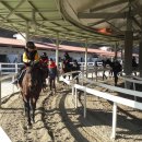 함안 승마장 이미지