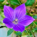 덕유산자연휴양림 이미지