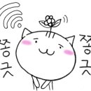 디어메이트 이미지