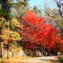 불국사한의원 이미지