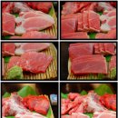 청참치 이미지