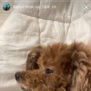 인생여섯컷 네이버블로그