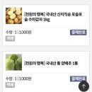 3월 한달 3인 식구 식비 장보기 외식비 지출비용