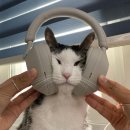 청춘바다 이미지