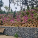 서창캠핑장 이미지