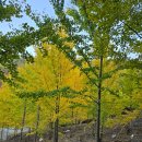 꼬꼬양계농장 이미지