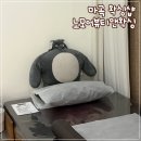 모어앤뷰티 | 마곡나루 브라질리언왁싱 잘하는 곳 노모어뷰티앤왁싱 찐 후기