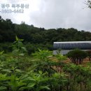 녹지공인중개사사무소 이미지
