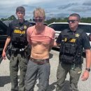 홀라우스 이미지