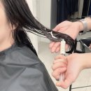 헤어클릭 | 강남구청 청담 비오른헤어 염색모 케어 고도희 부원장님 이너 케라틴 클리닉 후기