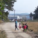 비손유치원 이미지