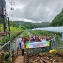 투어 팜(TOUR FARM) 이미지