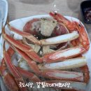 갈릴리 대게수산 | 포항 죽도시장 대게 맛집 갈릴리대게회식당 대게살이 꽉찼어요