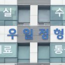 우일의원 이미지