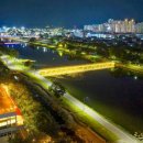 동천 야광 축제 이미지