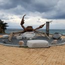 울진오징어사랑마을영어조합법인 이미지