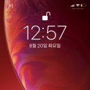 에코클리너 이미지