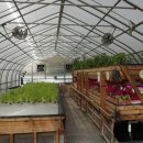 아마존PC 이미지