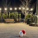 발넷이야 이미지