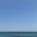 다이어리애월 | 제주 서쪽 애월 가볼 만한 곳, 올댓커피, 타베니, 보배책방ㅣ제주도 한달살기 day21