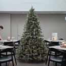 송아빌딩 | 서울 시청역 이테르 명동 파스타 이탈리안 퓨전요리 명동 맛집 연말 데이트 모임 레스토랑 추천