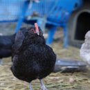 별캠키즈풀빌라 이미지