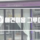 그루미뇽 이미지