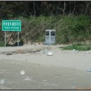 시목야영장 이미지