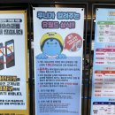 으뜸50안경진영점 | 여수가족여행, 여수 유월드 테마파크에서 타본 여수루지(아이와가볼만한곳)