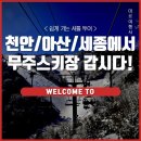 미르여행사 - 동구 매봉로 18 | 미르여행사