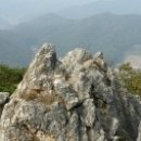 동문약품 Daum카페