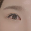 다인로얄팰리스배곧8차(배곧로얄팰리스8차) | 배곧 속눈썹 연장 You&amp;I 뷰티 오래 유지되는 러시안 블루 LED 연장