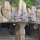 울진신발 - 울진군 읍내1길 3 | 울진 성류굴 후기｜아이와 가볼만한 곳, 주차·할인·관람팁 총정리