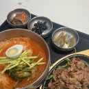 모리조헤어