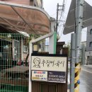 추필여국시 | 속초 현지인 맛집 깔끔한 장칼국수 추필여국시 솔직후기