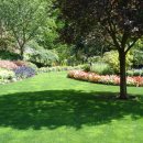 그늘 Daum카페