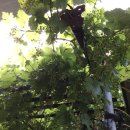 딴산민박 이미지