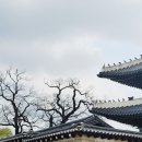 한자인문학 이미지